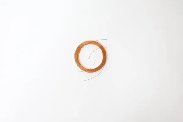 Ferrari 10259960 GASKET