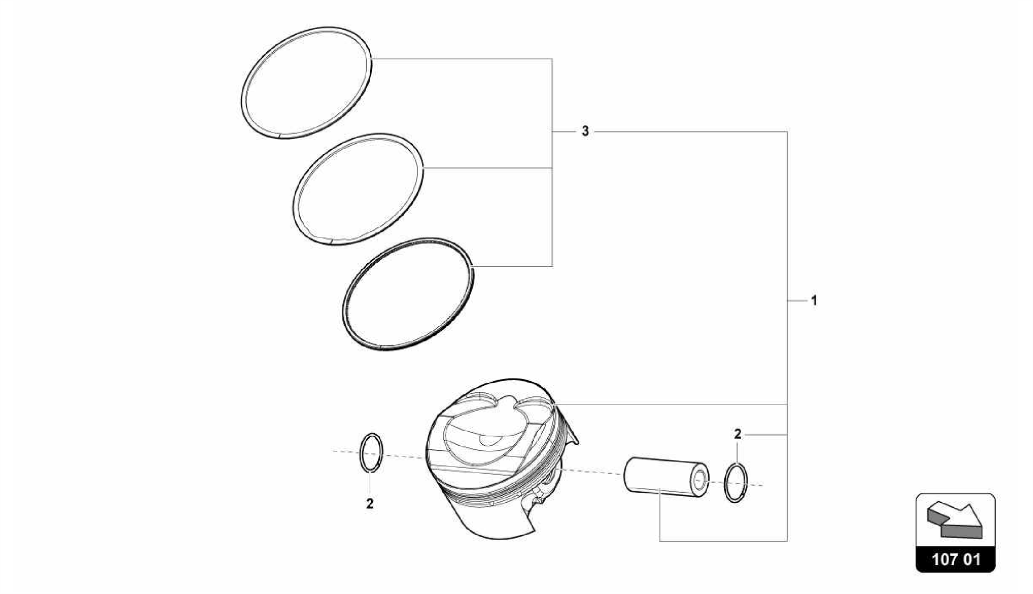 107.01.00-PISTON COMPLETE