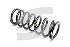 Maserati 163653 SUSPENSION SPRING