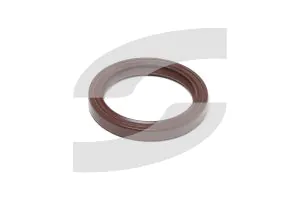Ferrari 163987 GASKET
