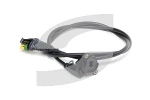 Ferrari 181325 SELECTION SENSOR.