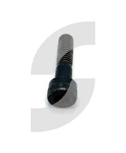 Ferrari 186196 SCREW.