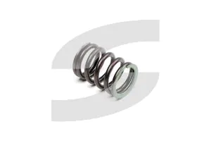 Ferrari 197900 OUTER SPRING FOR VALVE RETURN