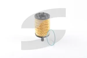 Ferrari 10257060 GASKET