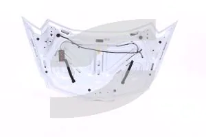 Lamborghini - Used Parts 470823021E-Q2 BONNET