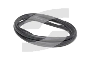 Ferrari 64338800 GASKET FOR DOOR