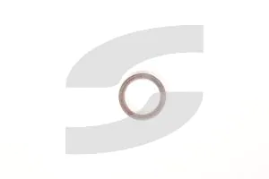 Lamborghini N0138495 SEALING RING A14X20 DIN7603-A