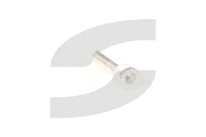 Ferrari 14306621 SCREW