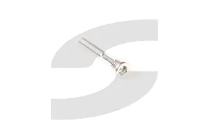 Ferrari 14358721 SCREW