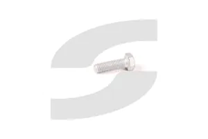 Ferrari 10977824 SCREW