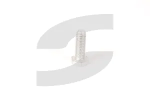 Ferrari 16052024 SCREW