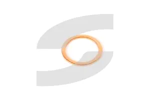 Ferrari 12604474 WASHER