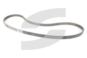 Ferrari 251220 6-RIB CONTROL BELT
