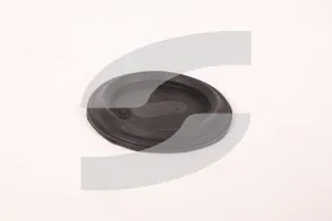 Ferrari 175709 GASKET FOR PLUG
