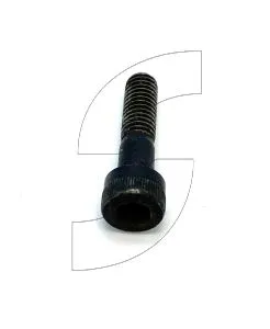 Ferrari 186196 SCREW.