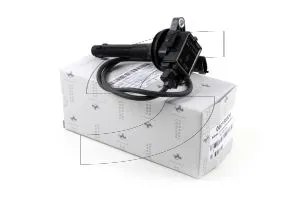 Ferrari 188504 IGNITION COIL.