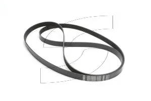 Ferrari 291236 BELT