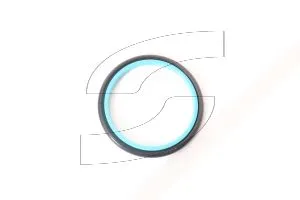 Ferrari 154508 SEALING RING