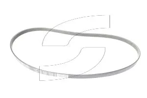 Maserati 239616 BELT TYPE DAYCO PV-K A 6