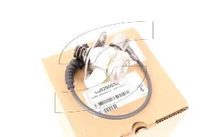 Ferrari 290030 FUEL PUMP