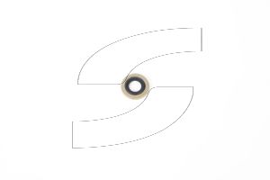 Ferrari 259638 GASKET