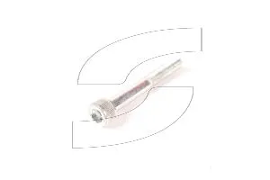 Ferrari 14306021 SCREW