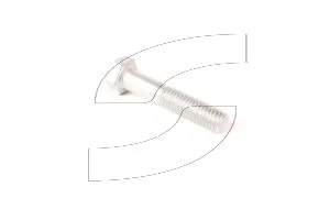 Ferrari 16044024 SCREW