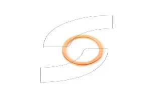 Ferrari 10263460 GASKET