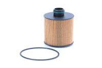 Fuel Filters